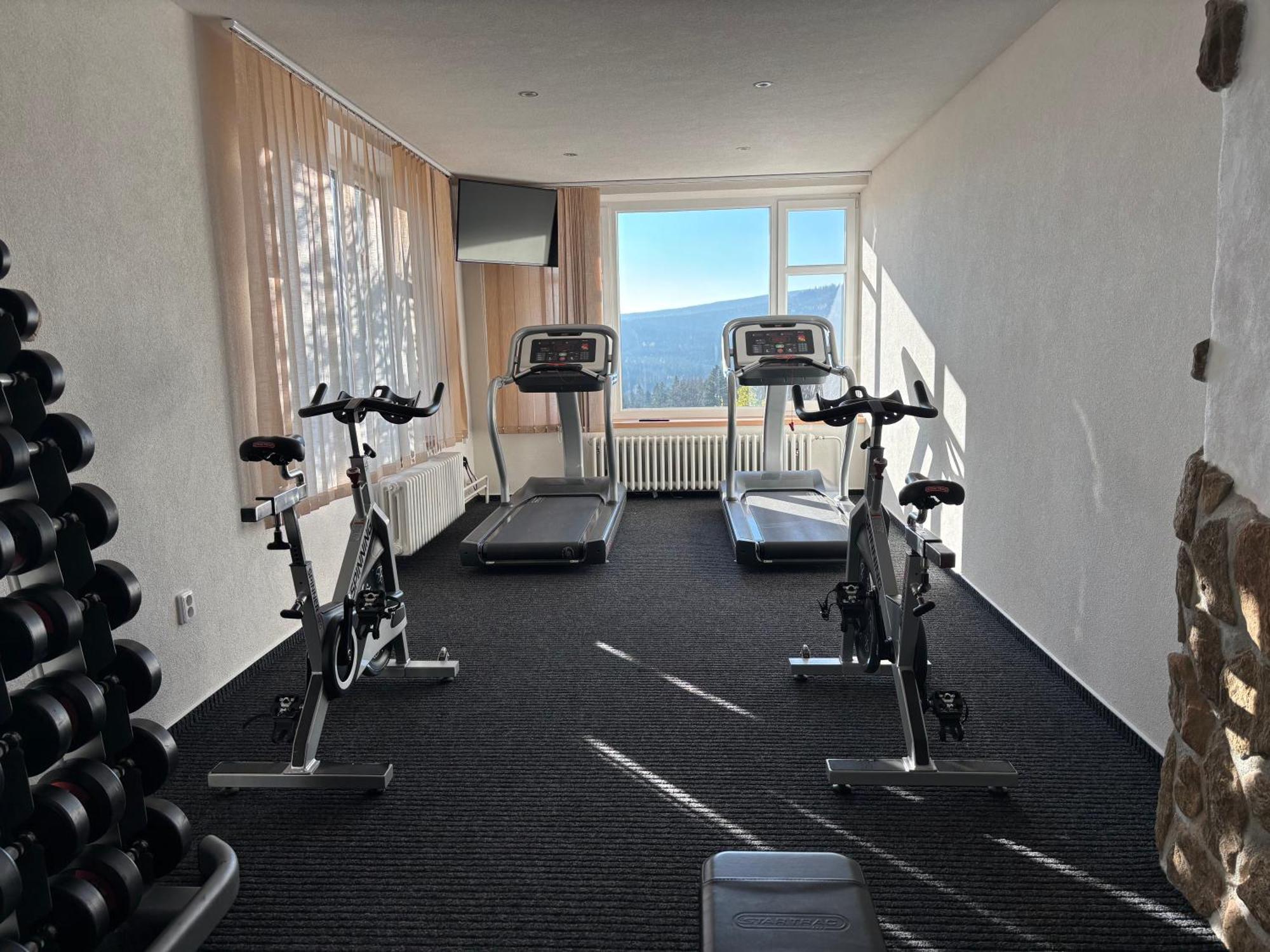 Hotel Podlesi
